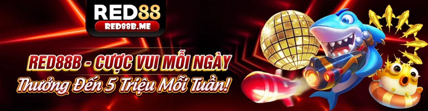 Hình ảnh chính hướng dẫn tải ứng dụng QQ66 an toàn và hiệu quả