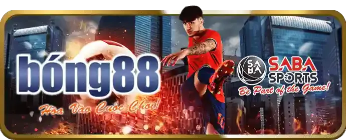 Sân bóng rổ với vòng rổ và bóng, đại diện cho cá cược bóng rổ tại QQ66